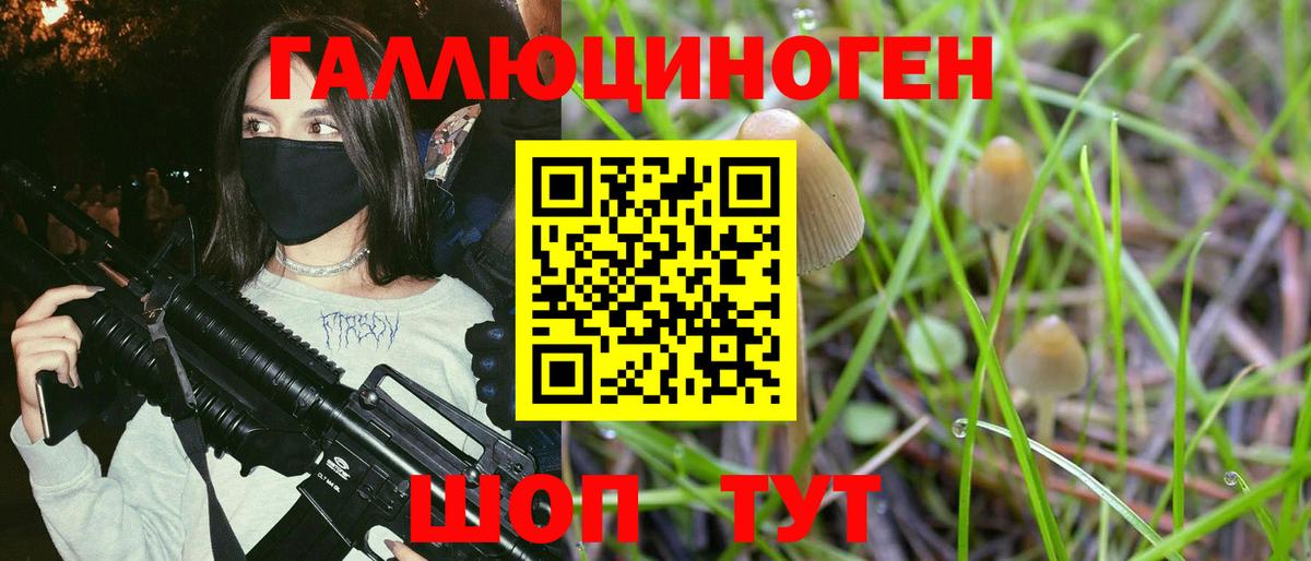 Галлюциногенные грибы GOLDEN TEACHER  Вход с VPN  купить  цена  Ступино  Галлюциногенные грибы MAGIC MUSHROOMS 